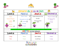 Menus du 22 au 26 juin 2026